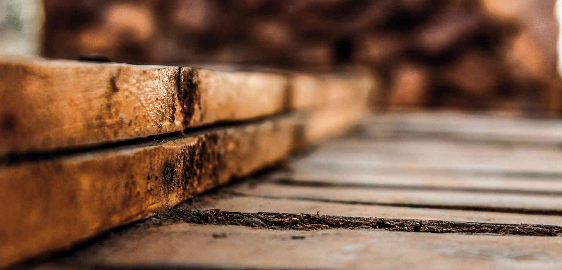 Maderera Andina ¿Cuánto tiempo tarda en degradarse la madera? Maderera Andina ¿Cuánto tiempo tarda en degradarse la madera?