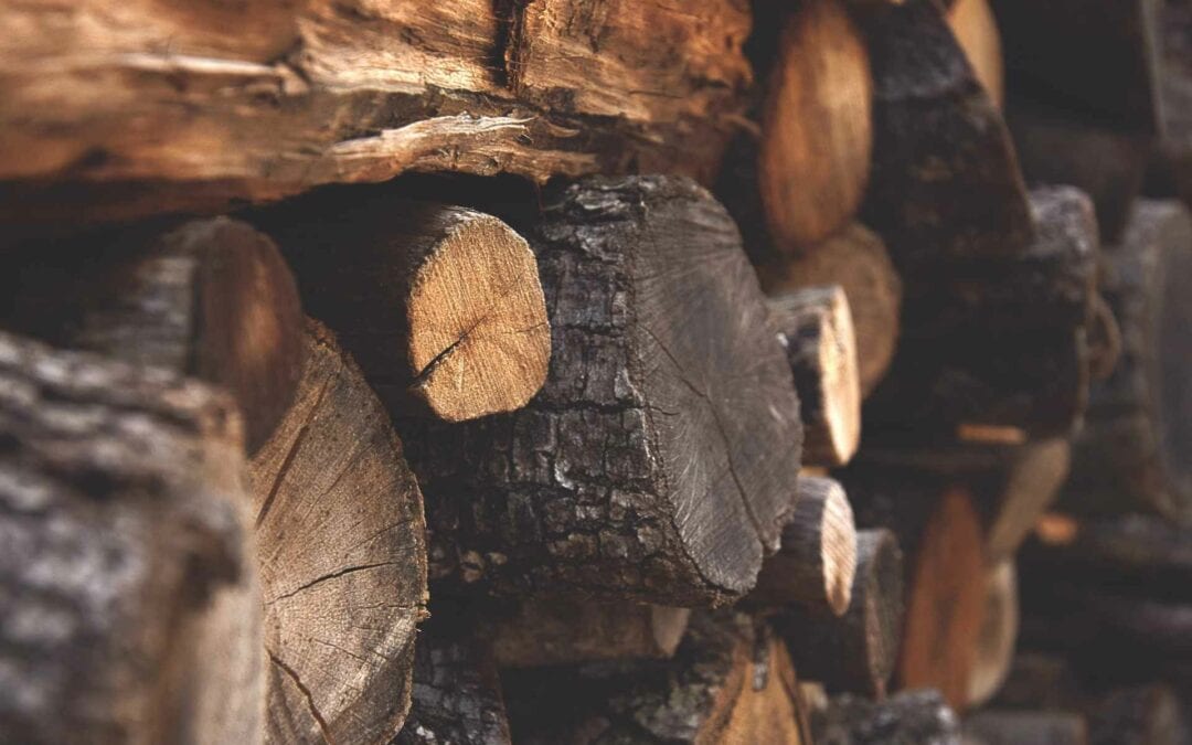 Maderera Andina: Nuevo control forestal maderable