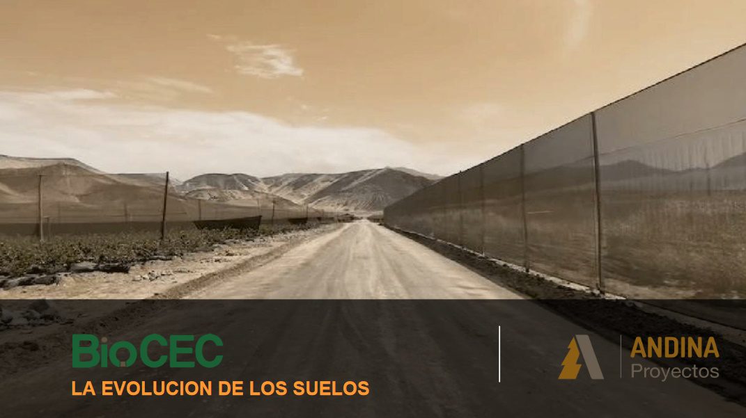 Maderera Andina: Carreteras consolidadas con BIOCEC