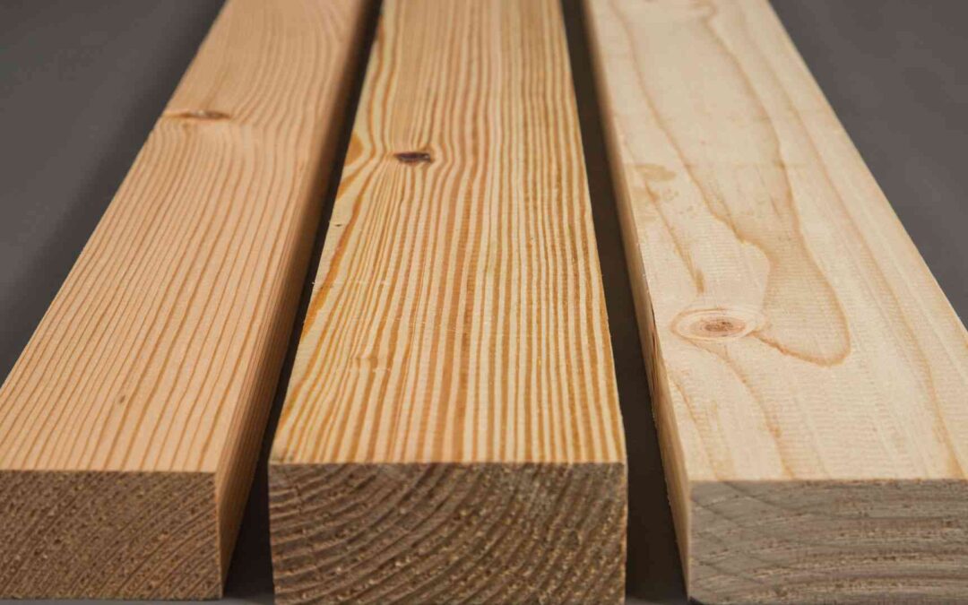 Especies de madera de Maderera Andina